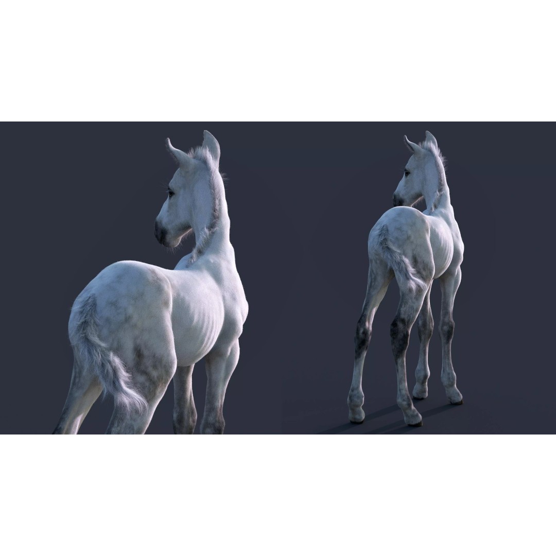 Realistic Horse Foal 3D Model – High Poly PBR Asset, FBX & OBJ - View 20