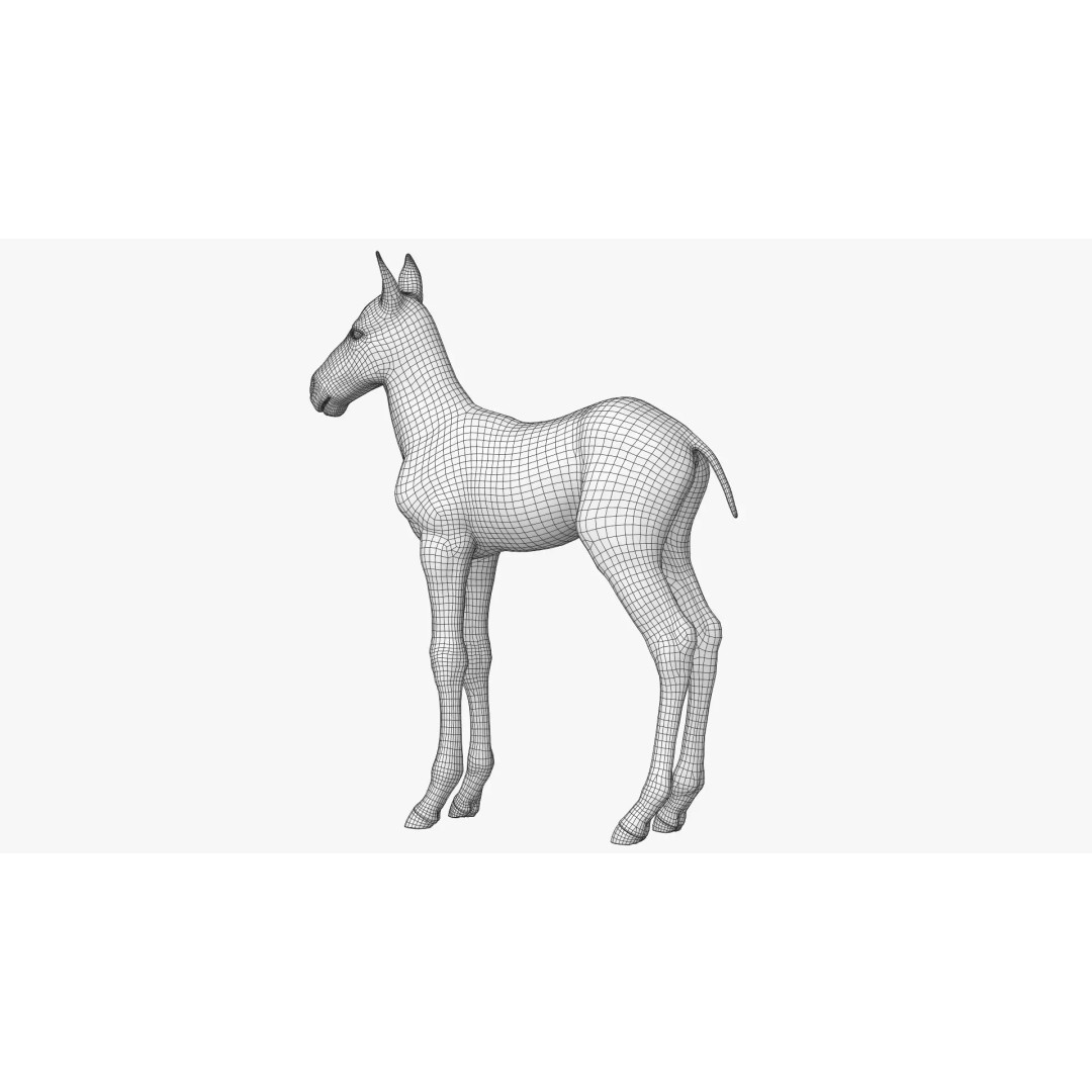 Realistic Horse Foal 3D Model – High Poly PBR Asset, FBX & OBJ - View 26