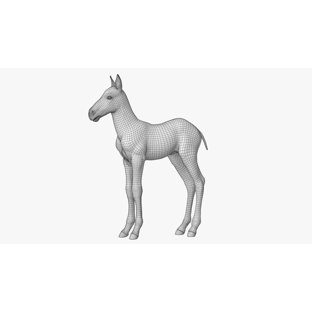 Realistic Horse Foal 3D Model – High Poly PBR Asset, FBX & OBJ - View 27