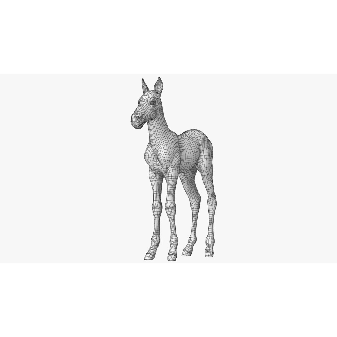 Realistic Horse Foal 3D Model – High Poly PBR Asset, FBX & OBJ - View 29