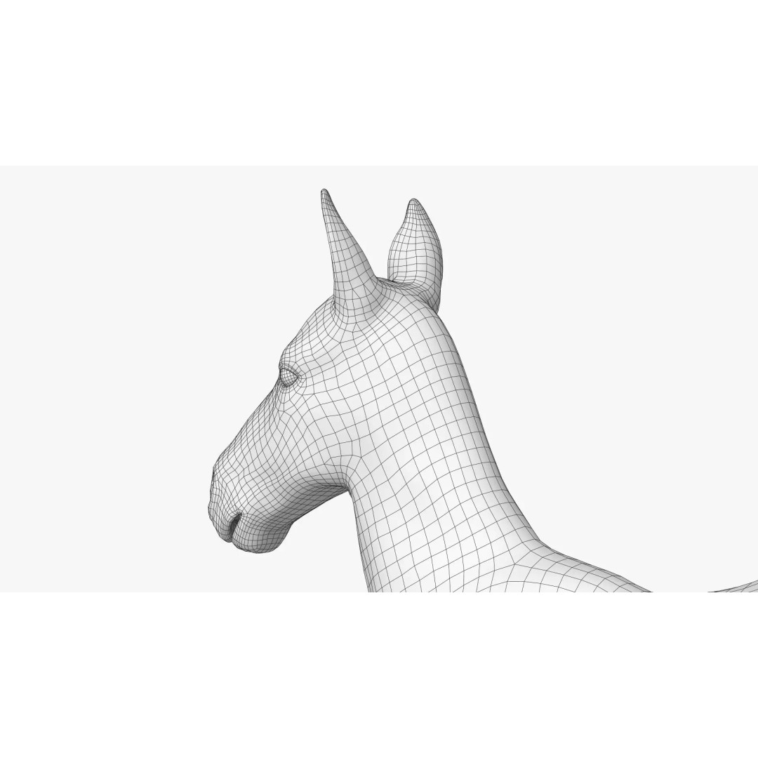 Realistic Horse Foal 3D Model – High Poly PBR Asset, FBX & OBJ - View 30