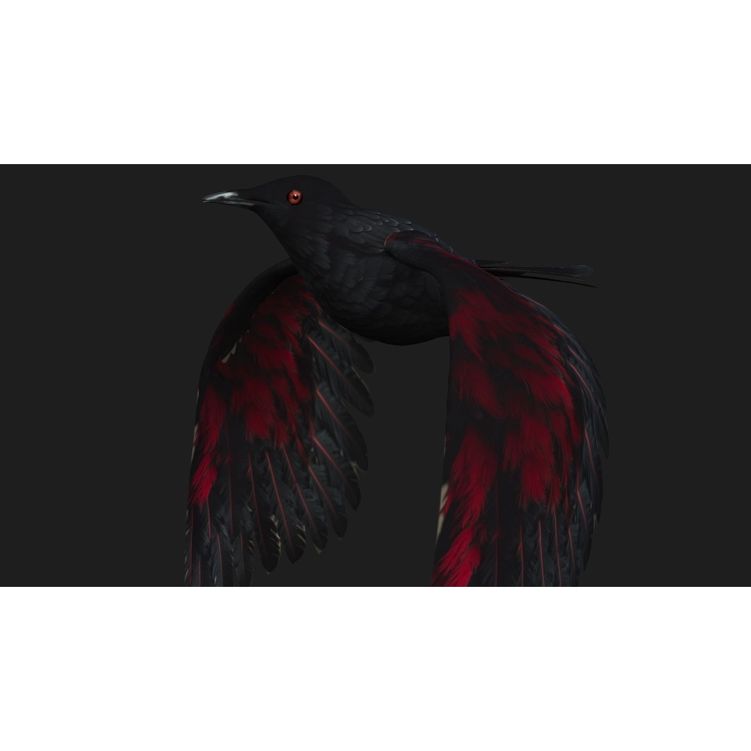 Raven A1 3D Model – Rigged Animated Bird with PBR Textures, FBX - View 4
