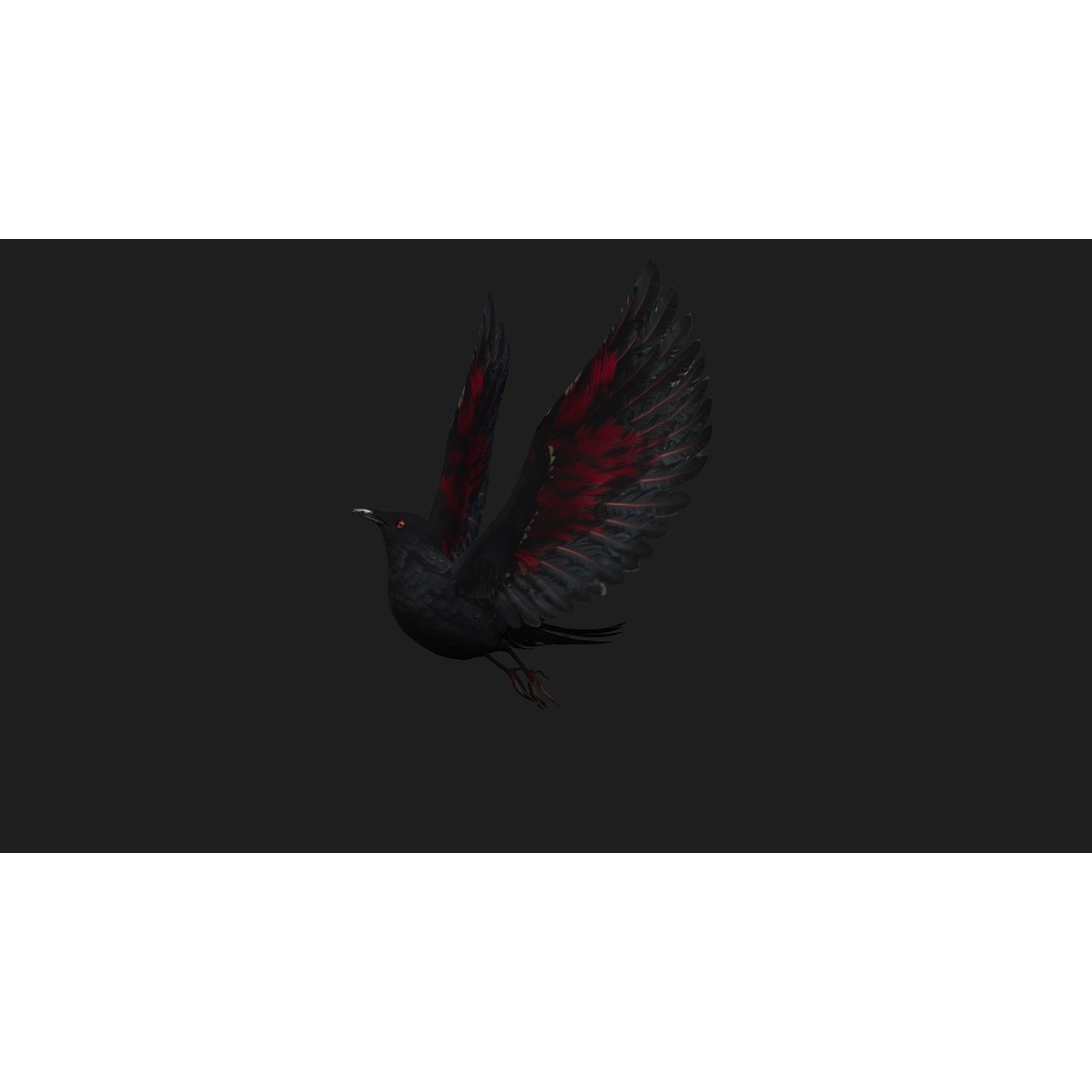 Raven A1 3D Model – Rigged Animated Bird with PBR Textures, FBX - View 6