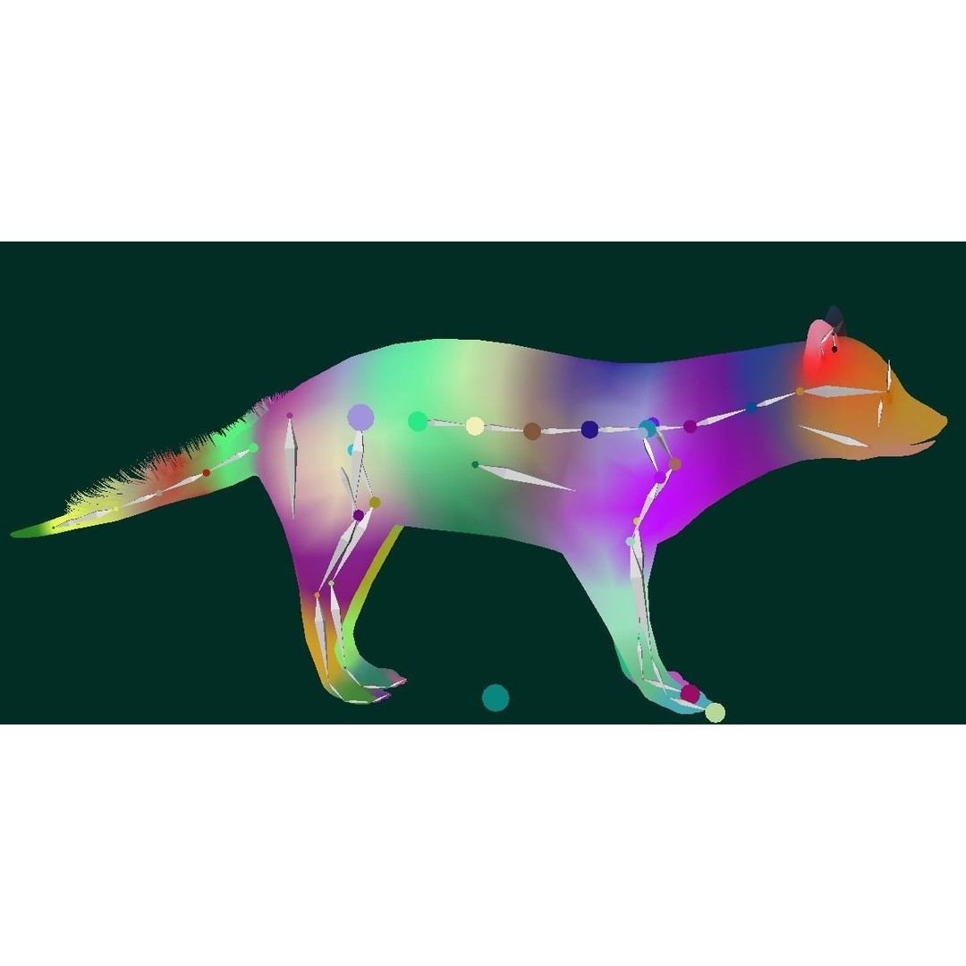African Civet Cat 3D Model – Low Poly Rigged Game Asset, FBX - View 10