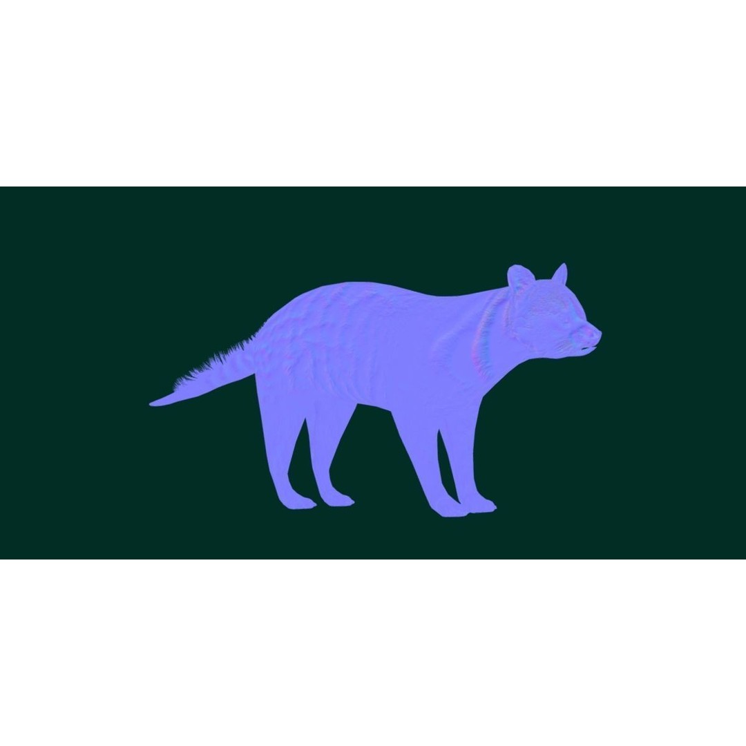 African Civet Cat 3D Model – Low Poly Rigged Game Asset, FBX - View 12