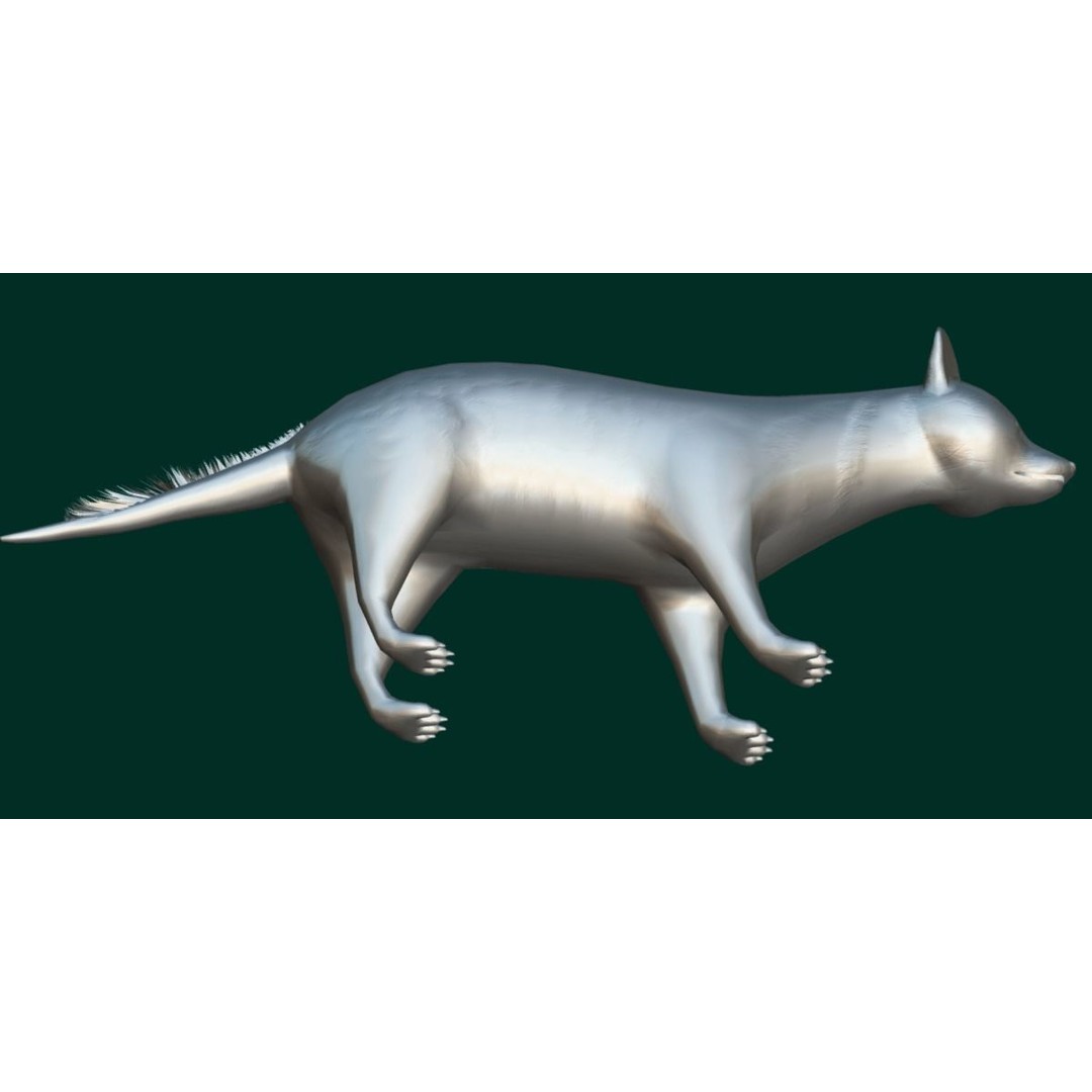 African Civet Cat 3D Model – Low Poly Rigged Game Asset, FBX - View 17