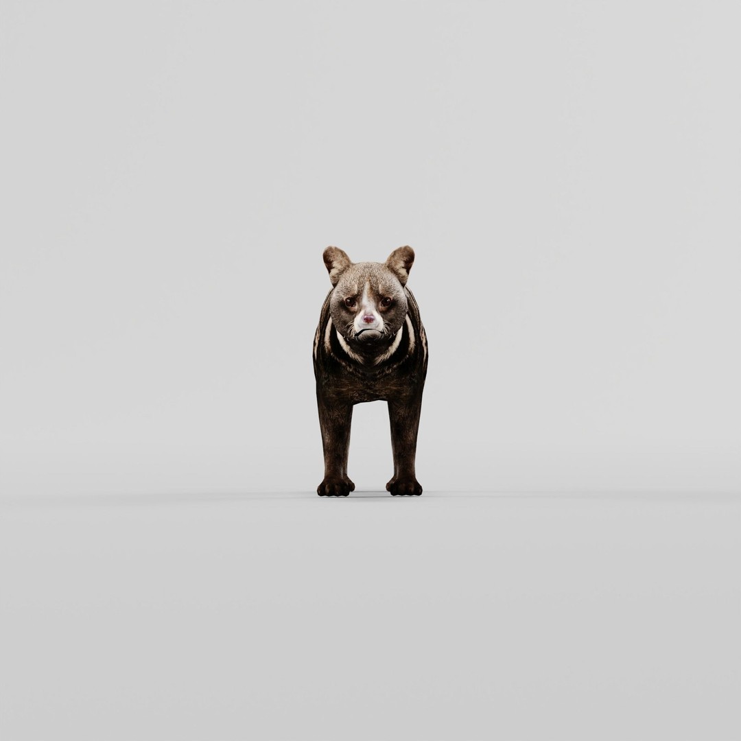 African Civet Cat 3D Model – Low Poly Rigged Game Asset, FBX - View 20