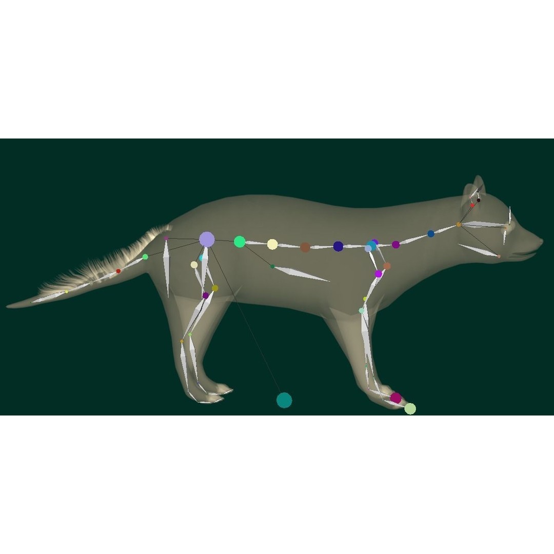 African Civet Cat 3D Model – Low Poly Rigged Game Asset, FBX - View 3