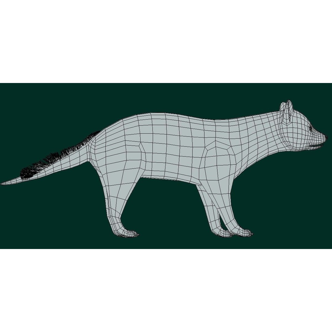 African Civet Cat 3D Model – Low Poly Rigged Game Asset, FBX - View 4