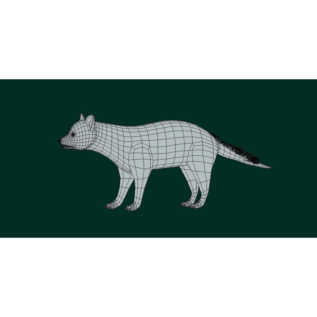 African Civet Cat 3D Model – Low Poly Rigged Game Asset, FBX - View 5