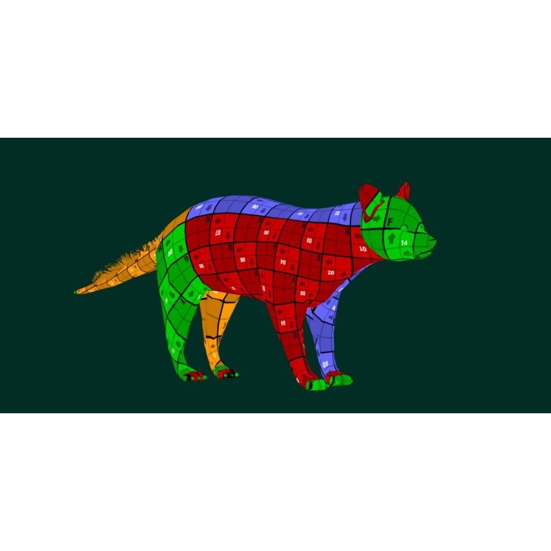 African Civet Cat 3D Model – Low Poly Rigged Game Asset, FBX - View 8
