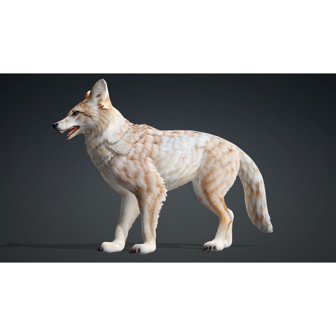 Wolf 3D Model – Rigged Animated Character with PBR Textures - View 10