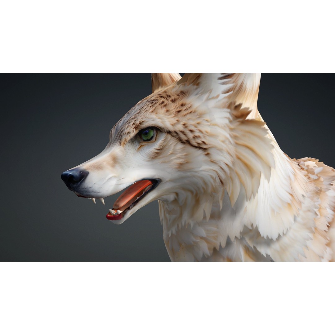 Wolf 3D Model – Rigged Animated Character with PBR Textures - View 12