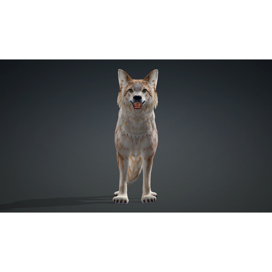 Wolf 3D Model – Rigged Animated Character with PBR Textures - View 13