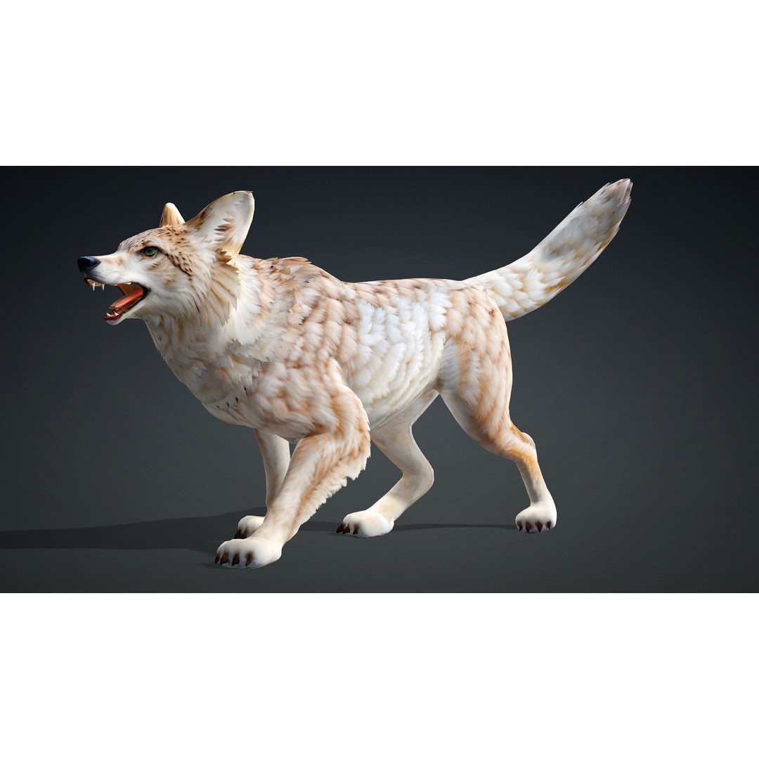 Wolf 3D Model – Rigged Animated Character with PBR Textures - View 3