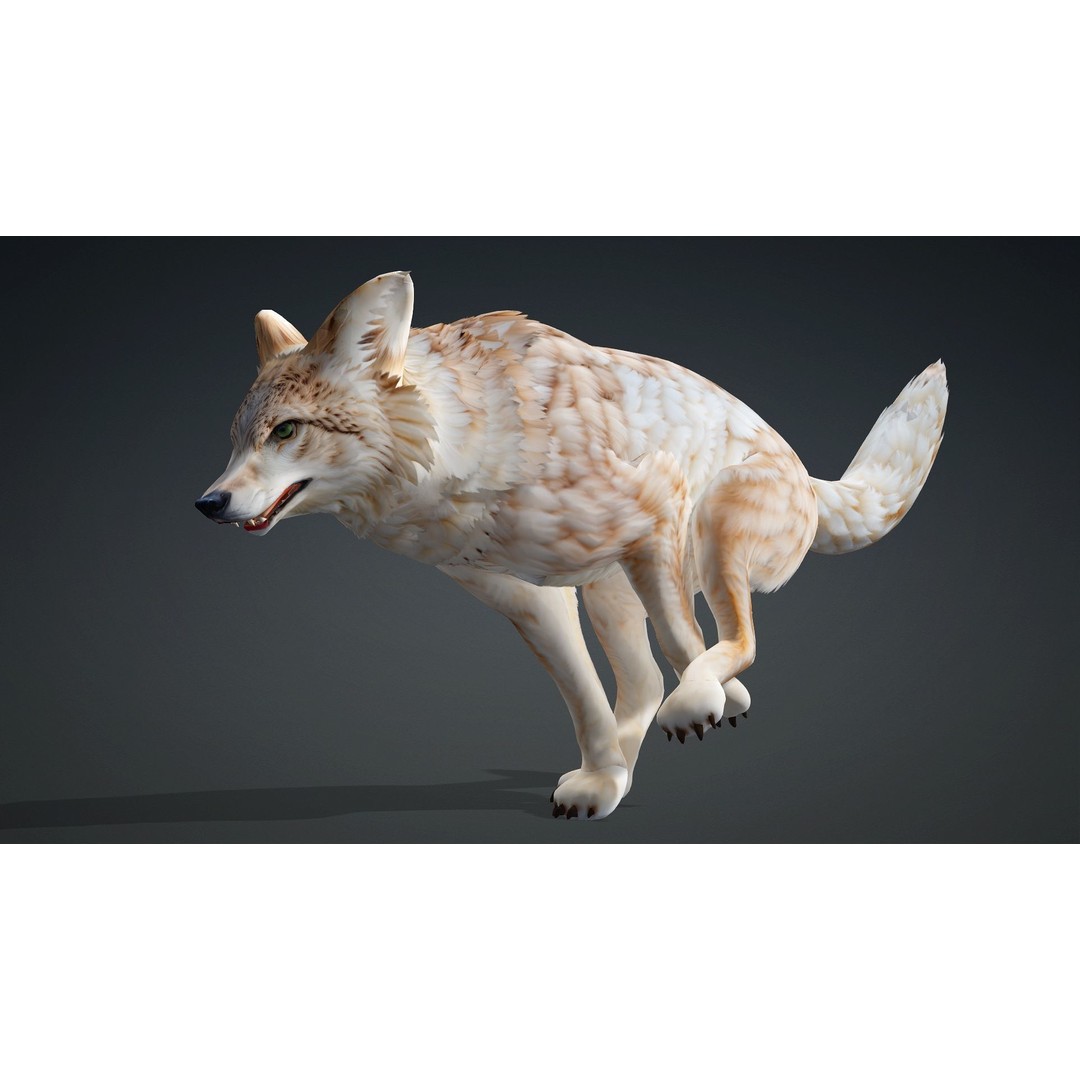 Wolf 3D Model – Rigged Animated Character with PBR Textures - View 7