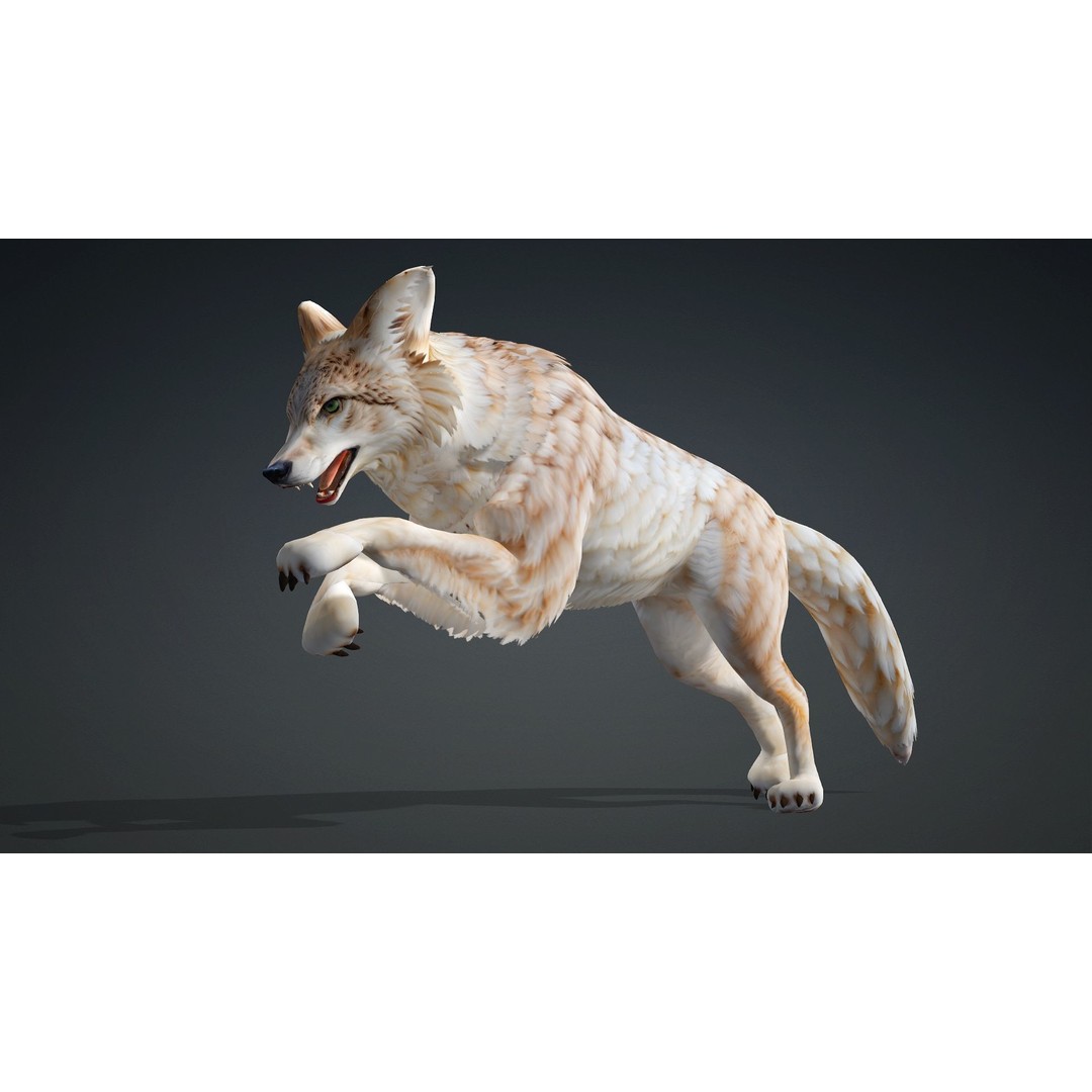 Wolf 3D Model – Rigged Animated Character with PBR Textures - View 8