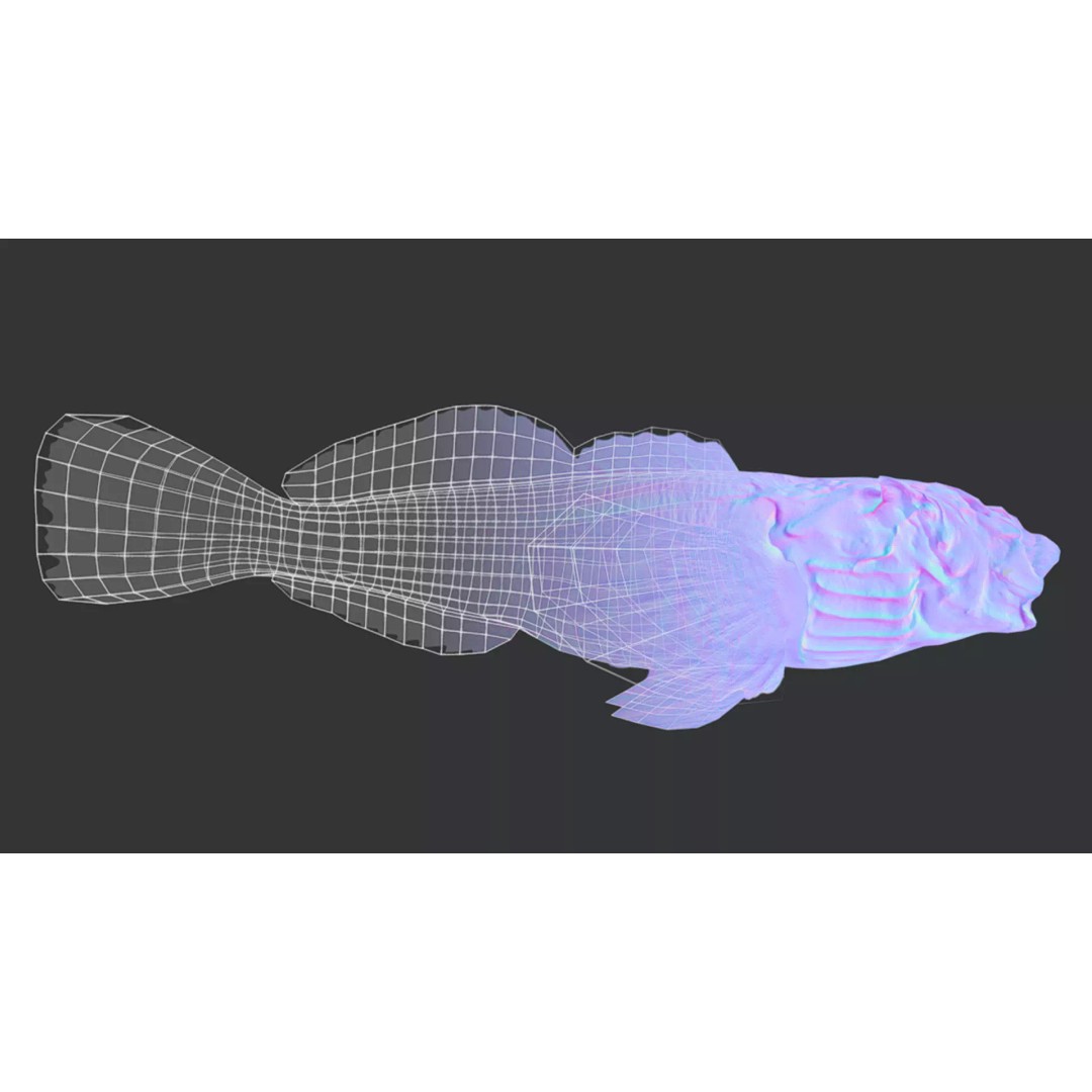 Realistic Freshwater Sculpin 3D Model – Low Poly Animated Fish, FBX - View 14