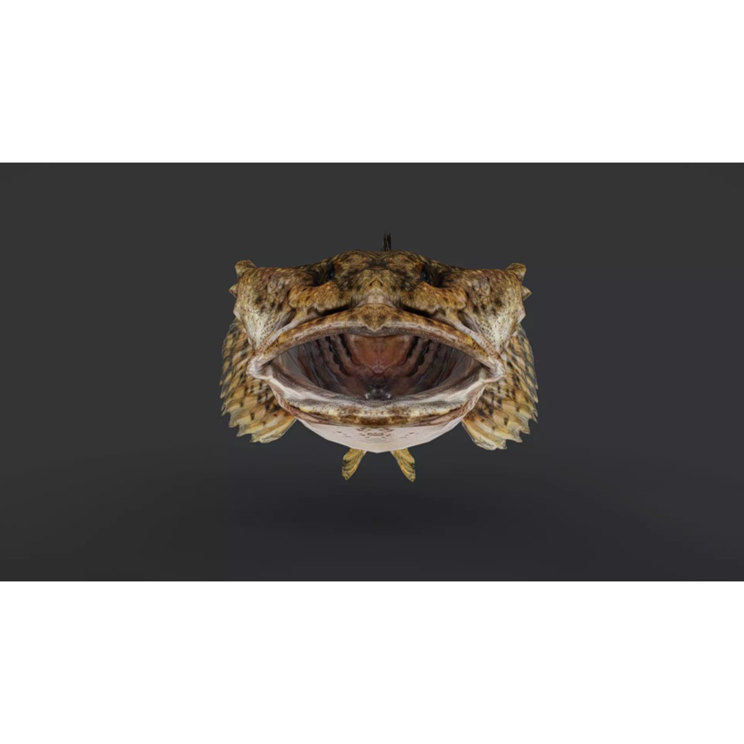 Realistic Freshwater Sculpin 3D Model – Low Poly Animated Fish, FBX - View 8