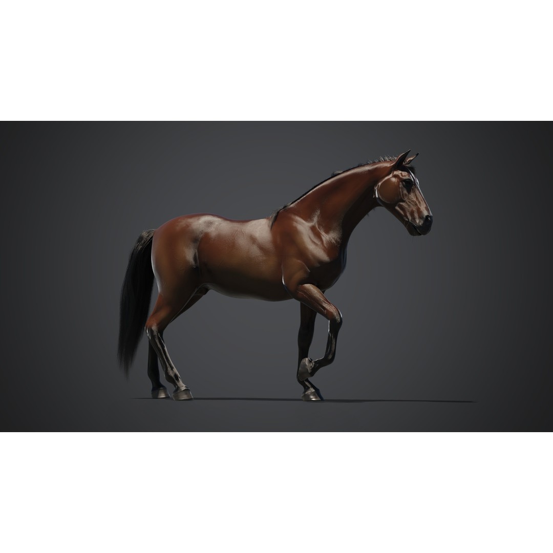 Horse 3D Model – Rigged Animated PBR Asset for Games - View 10