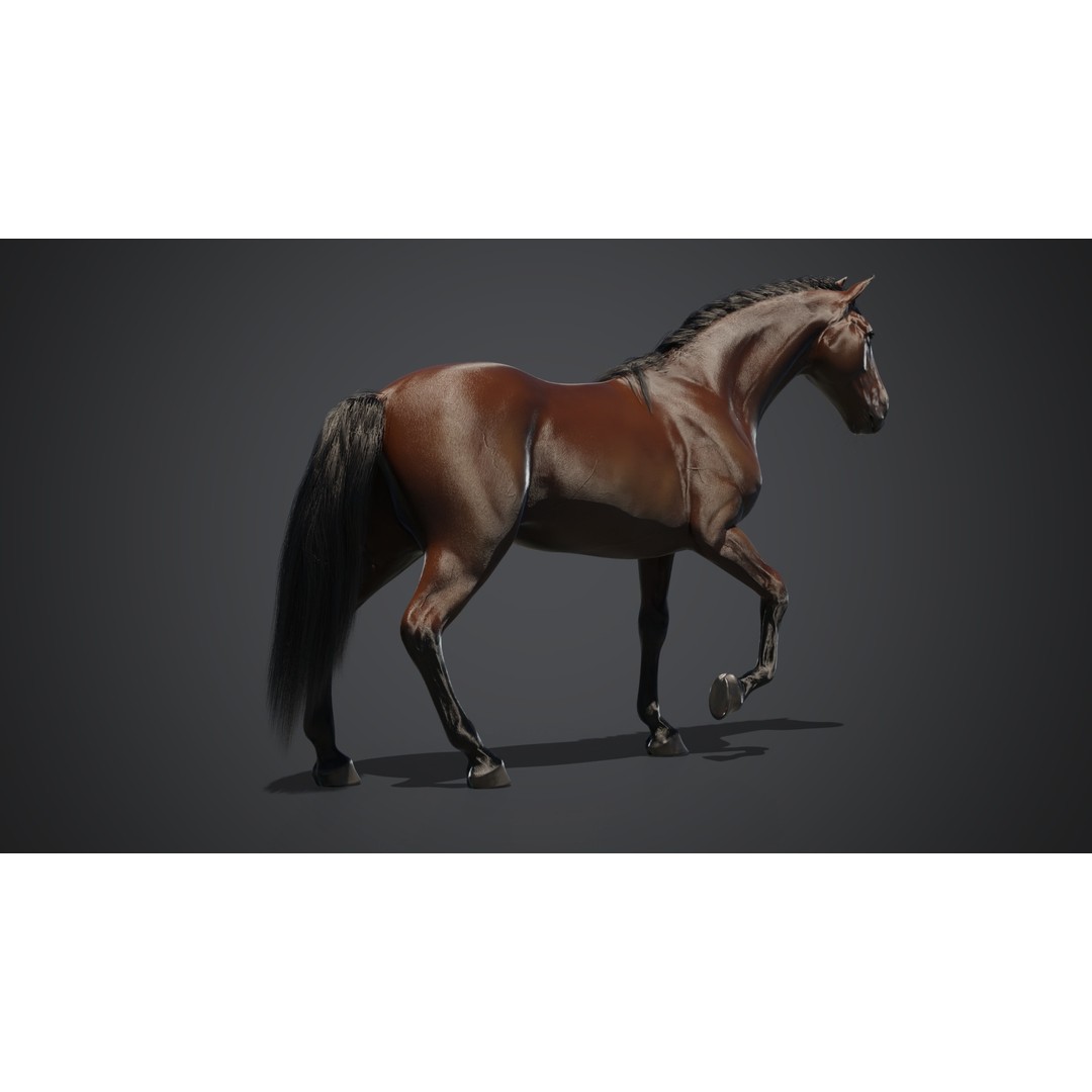 Horse 3D Model – Rigged Animated PBR Asset for Games - View 11