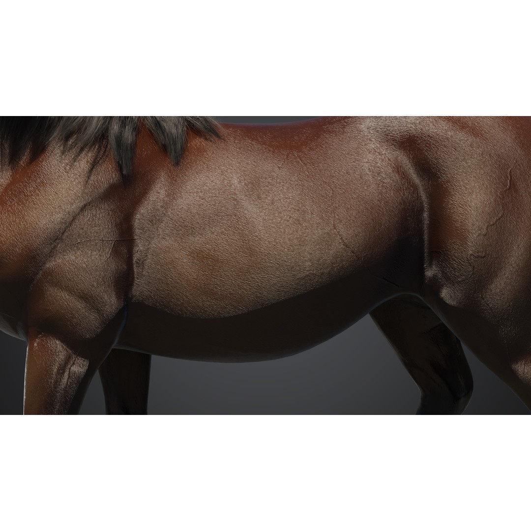 Horse 3D Model – Rigged Animated PBR Asset for Games - View 12