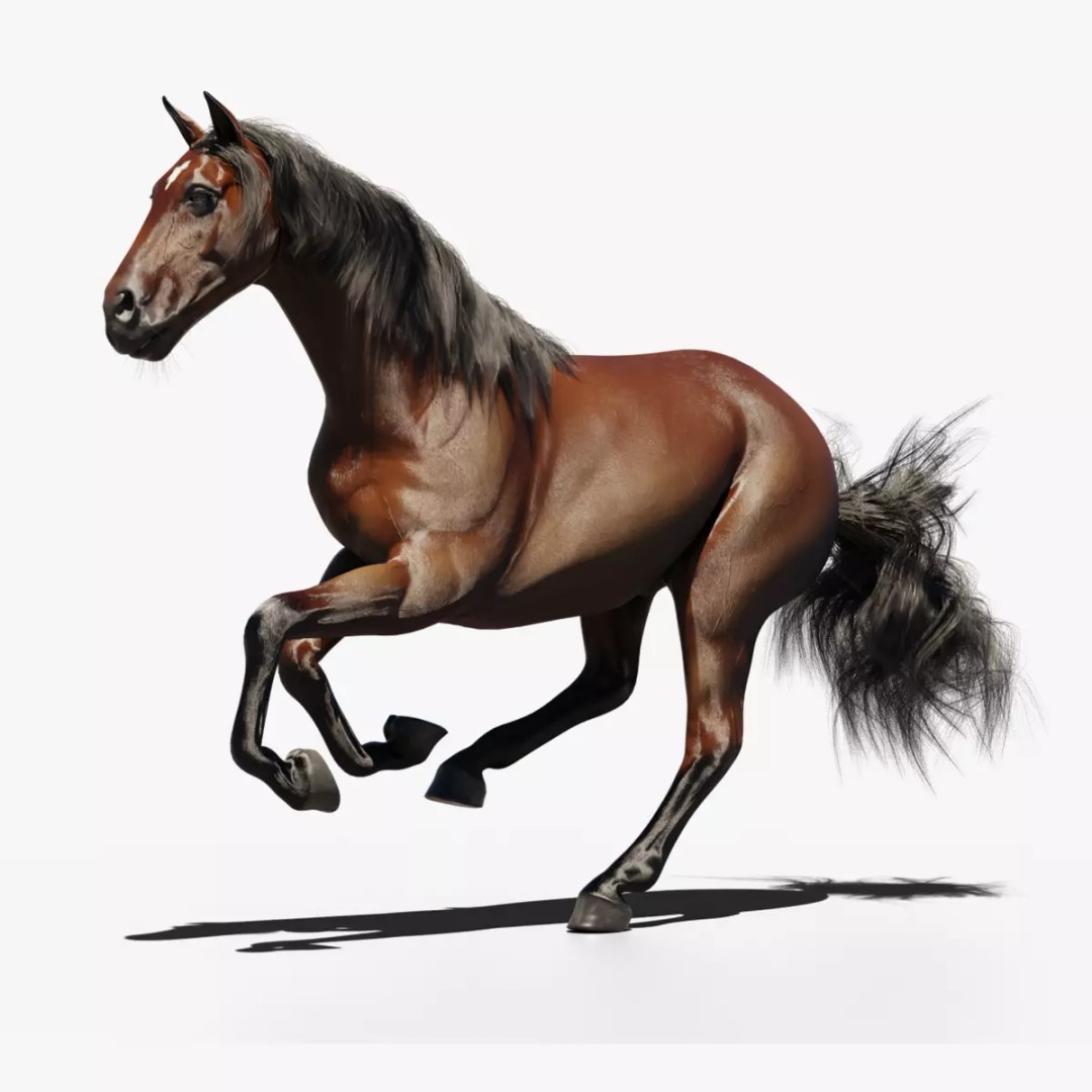 Horse 3D Model – Rigged Animated PBR Asset for Games - View 2