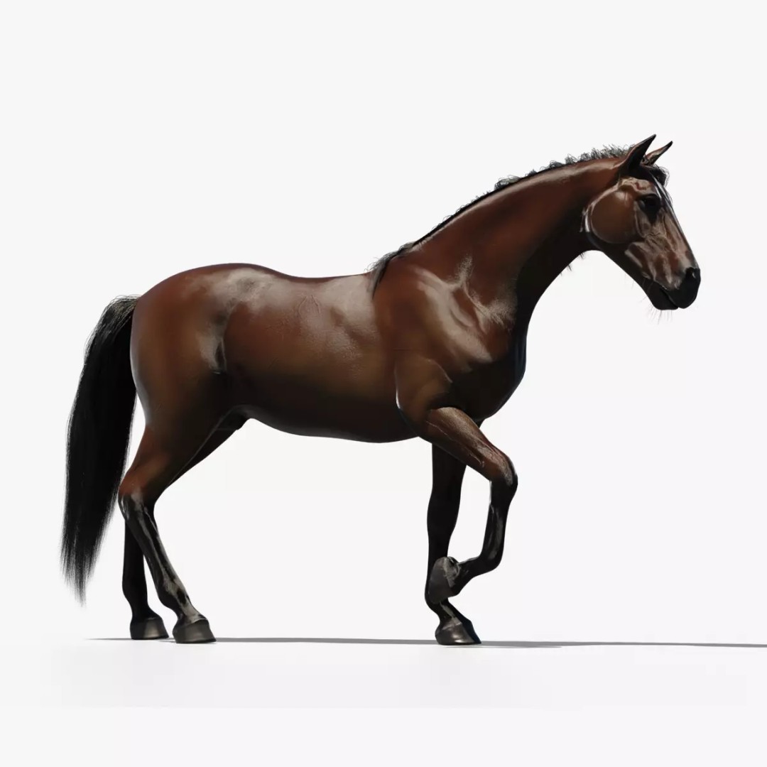 Horse 3D Model – Rigged Animated PBR Asset for Games - View 3