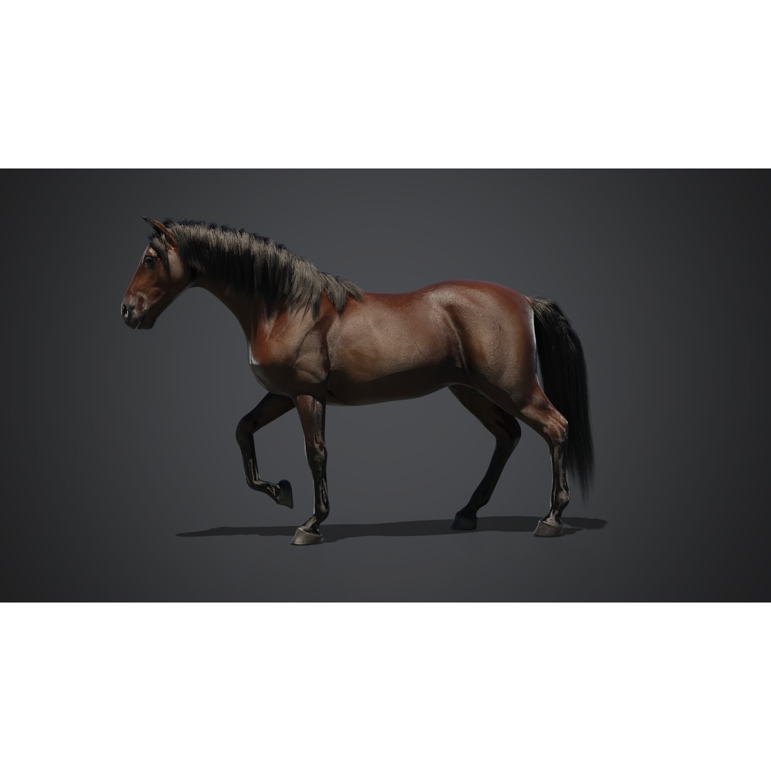 Horse 3D Model – Rigged Animated PBR Asset for Games - View 6
