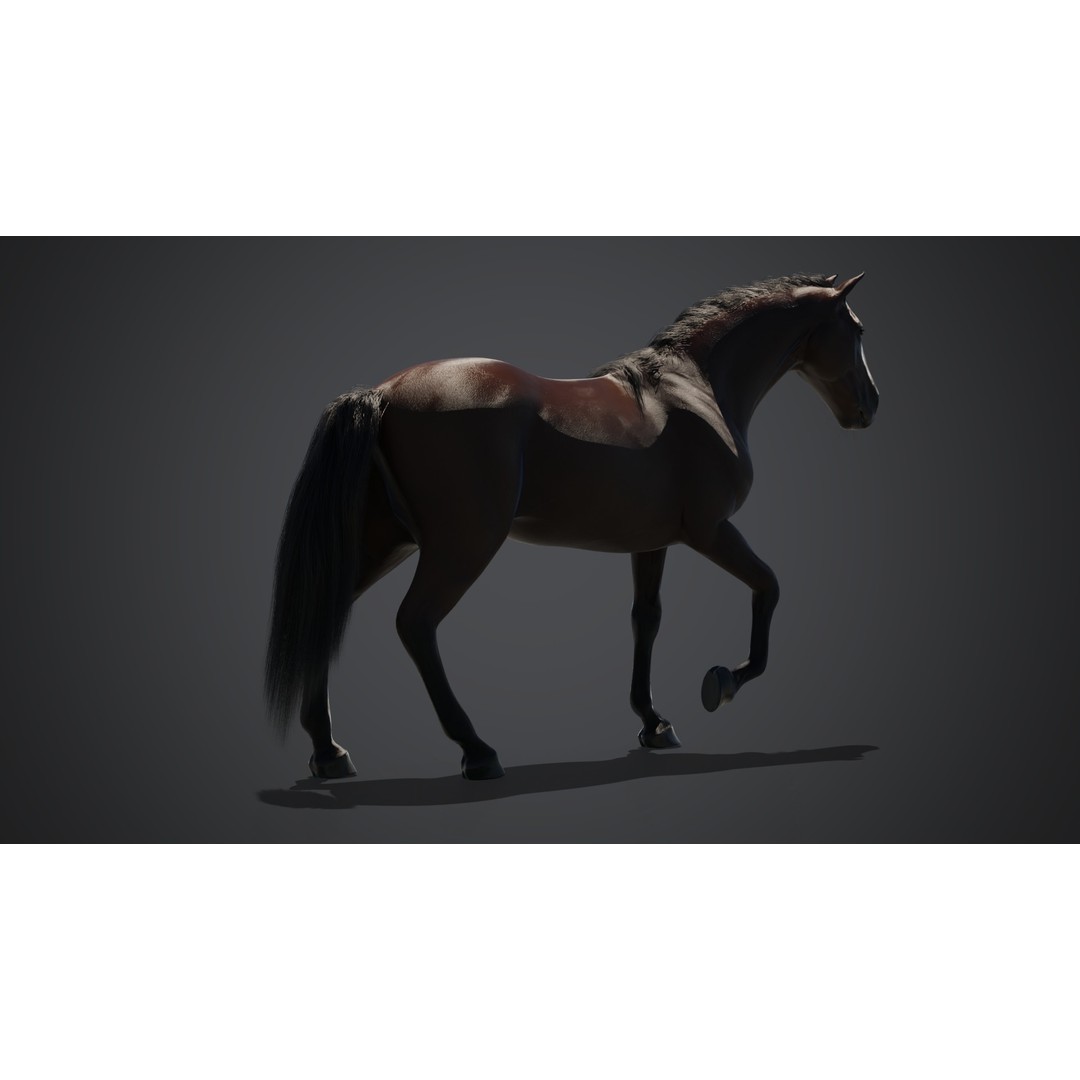 Horse 3D Model – Rigged Animated PBR Asset for Games - View 8