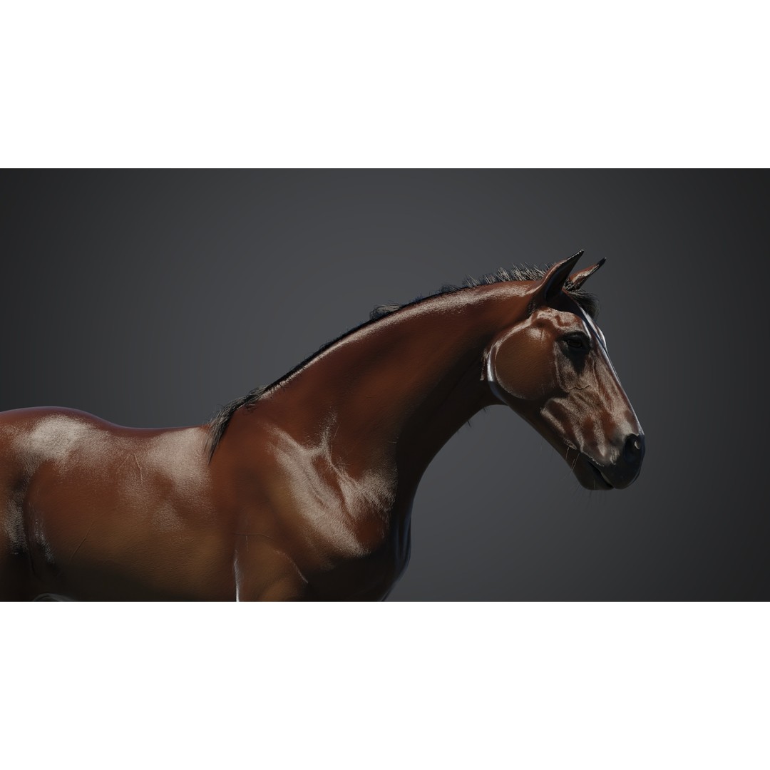 Horse 3D Model – Rigged Animated PBR Asset for Games - View 9