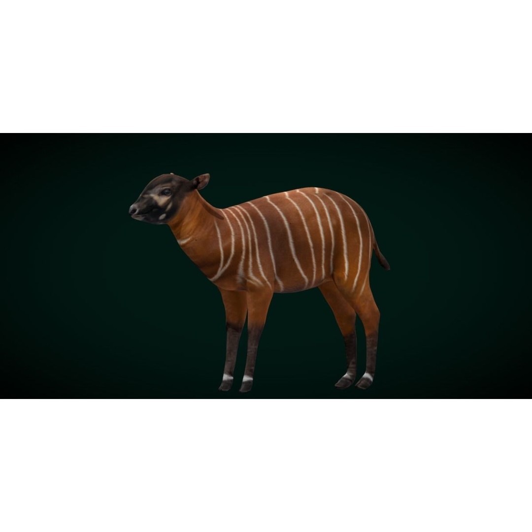 Bongo Antelope Calf 3D Model – Low Poly Game Ready Asset, FBX