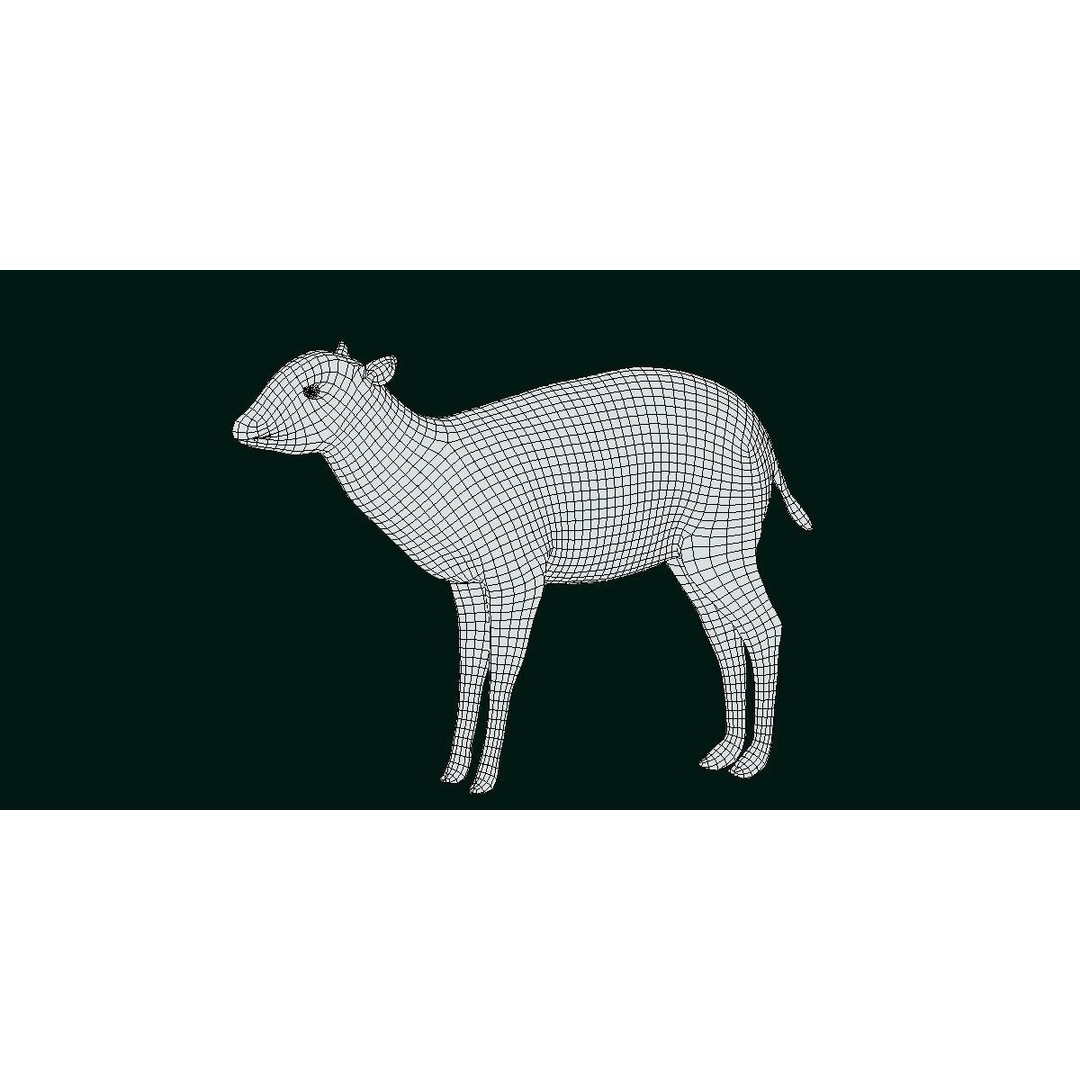 Bongo Antelope Calf 3D Model – Low Poly Game Ready Asset, FBX - View 10