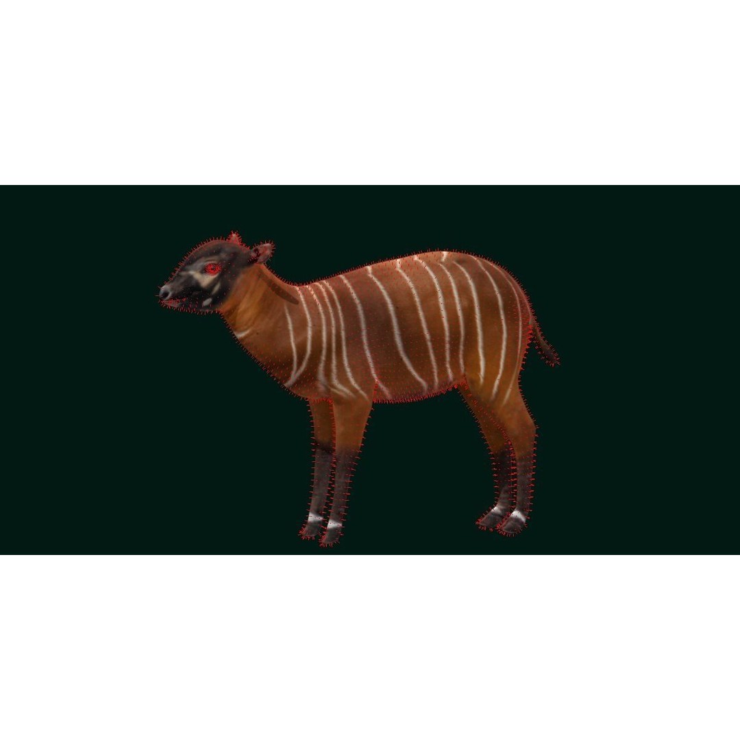 Bongo Antelope Calf 3D Model – Low Poly Game Ready Asset, FBX - View 11