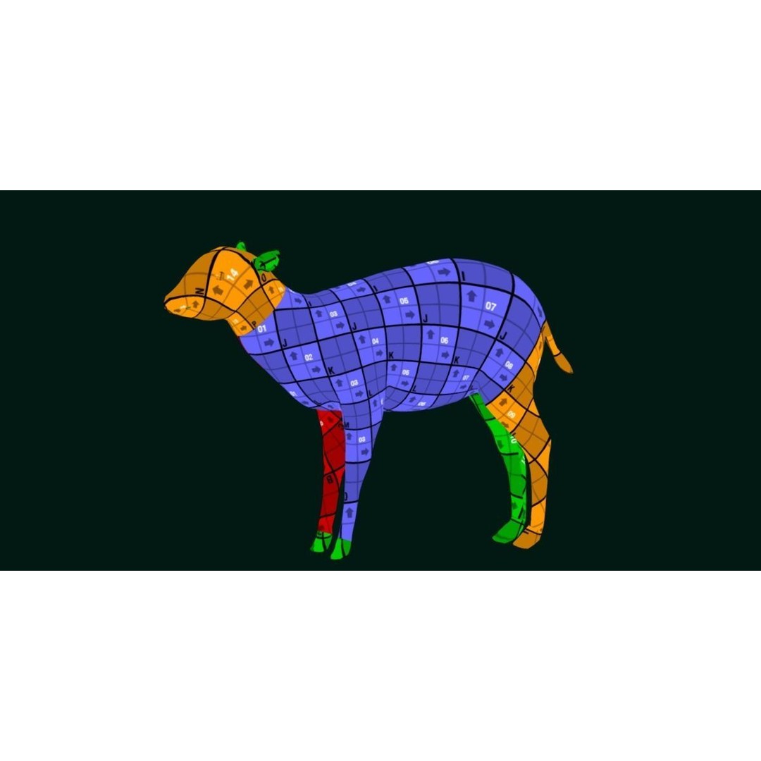 Bongo Antelope Calf 3D Model – Low Poly Game Ready Asset, FBX - View 12