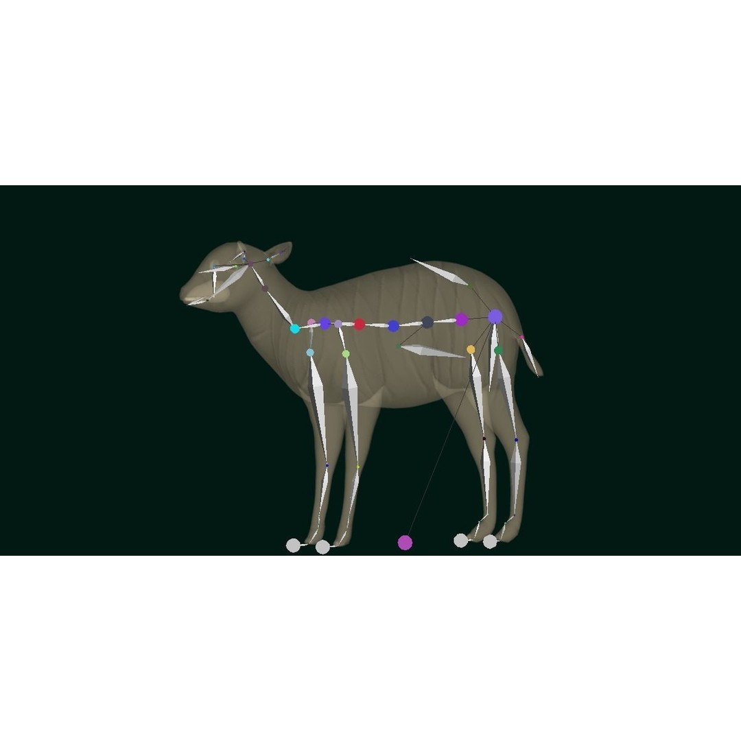 Bongo Antelope Calf 3D Model – Low Poly Game Ready Asset, FBX - View 8