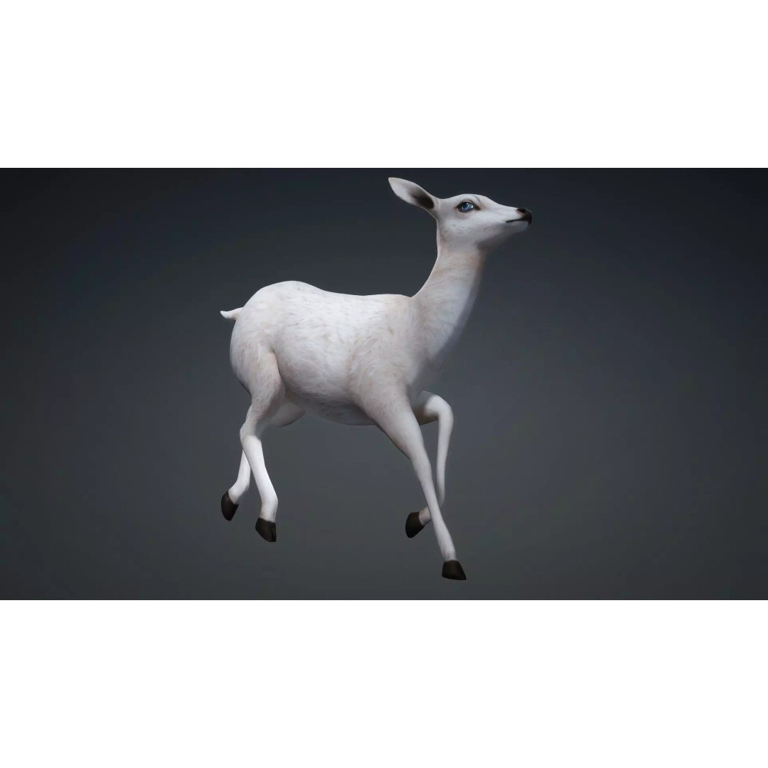Deer 3D Model – Rigged Creature with PBR Textures, FBX, Blender - View 10