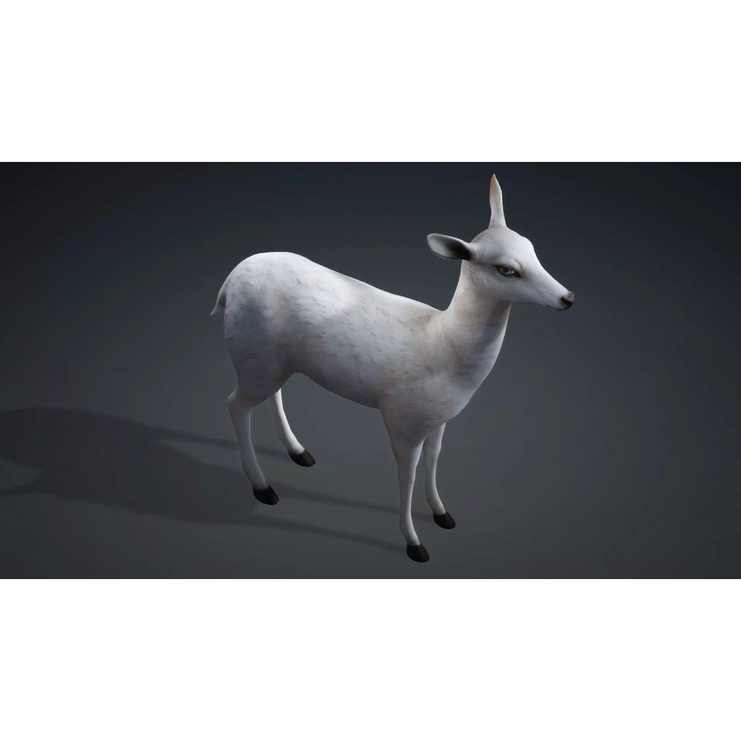 Deer 3D Model – Rigged Creature with PBR Textures, FBX, Blender - View 11