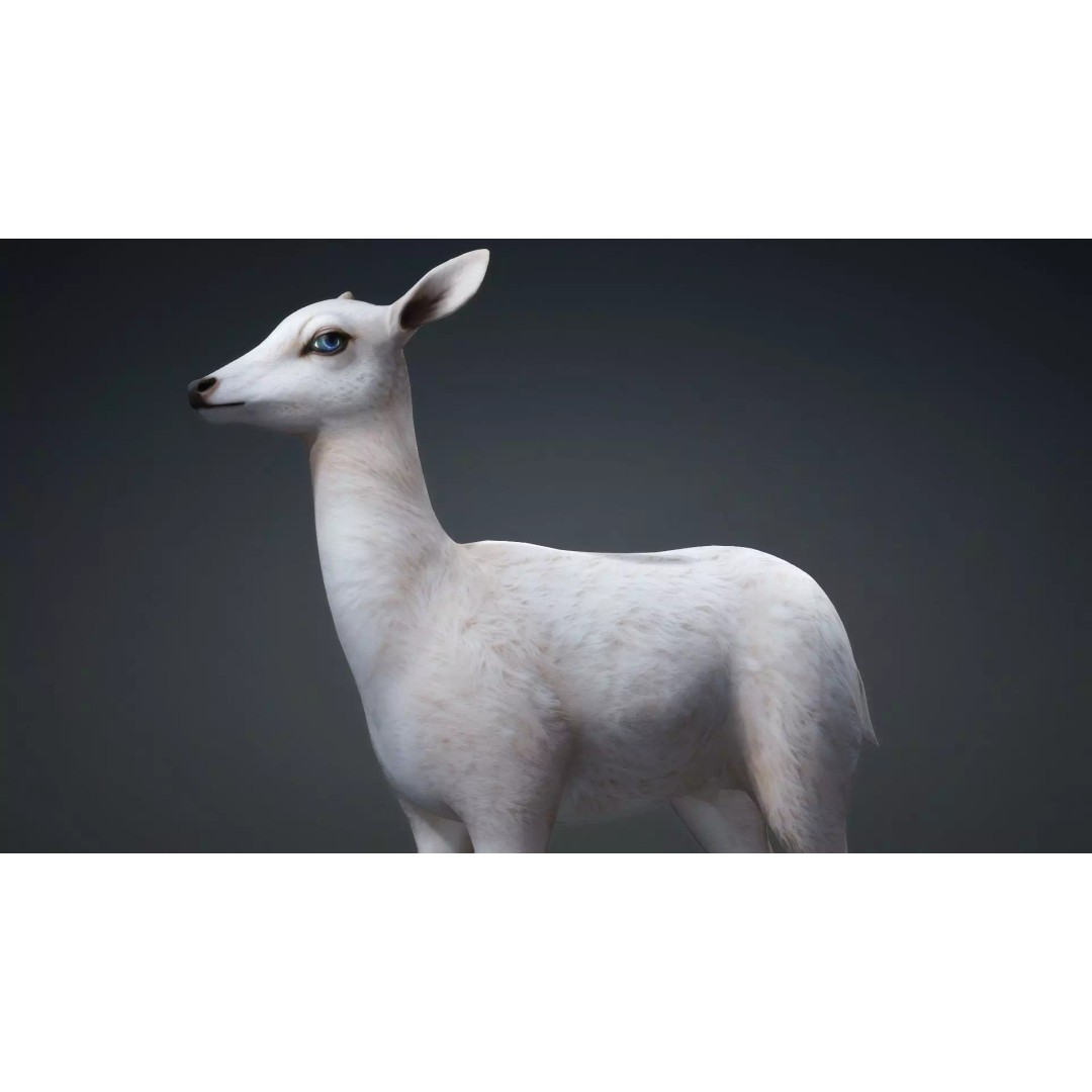 Deer 3D Model – Rigged Creature with PBR Textures, FBX, Blender - View 12