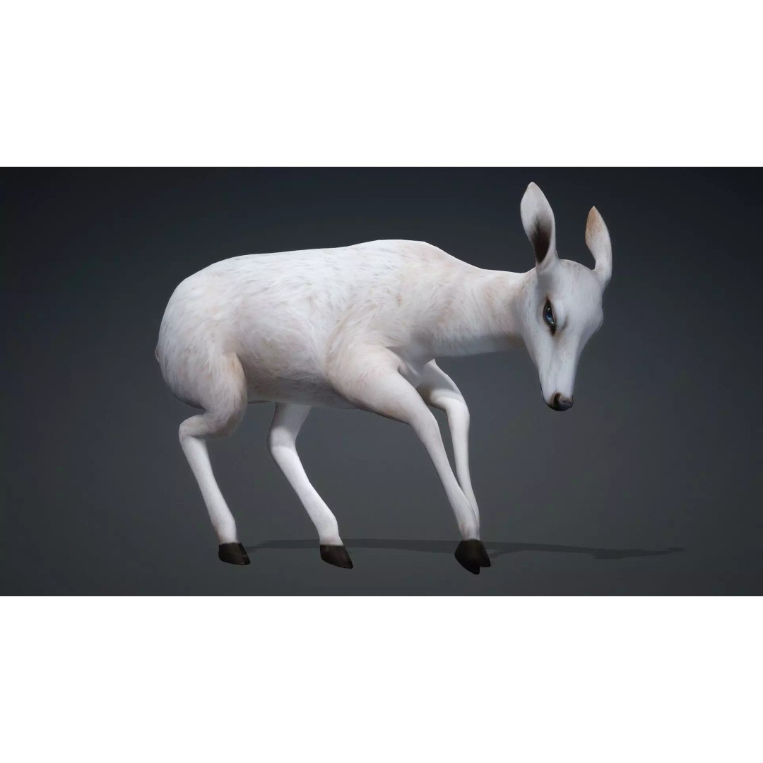Deer 3D Model – Rigged Creature with PBR Textures, FBX, Blender - View 14