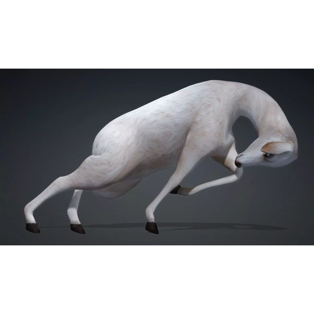 Deer 3D Model – Rigged Creature with PBR Textures, FBX, Blender - View 15