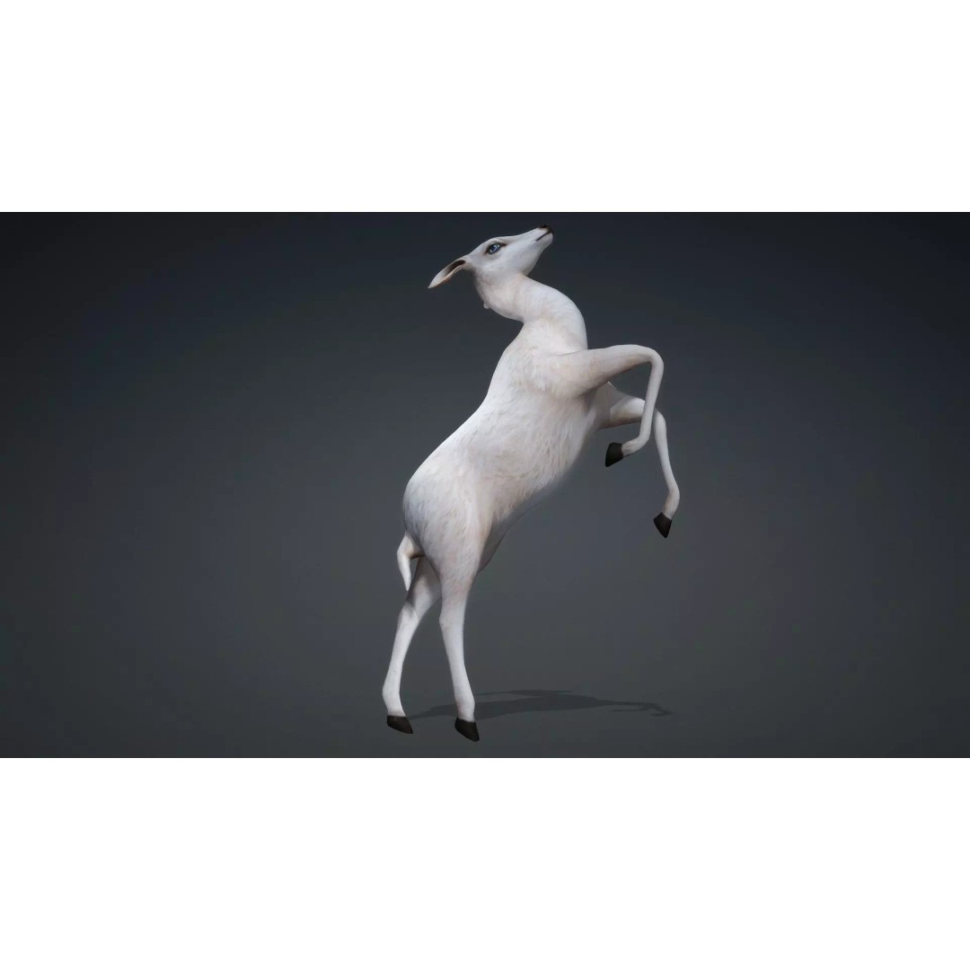 Deer 3D Model – Rigged Creature with PBR Textures, FBX, Blender - View 16