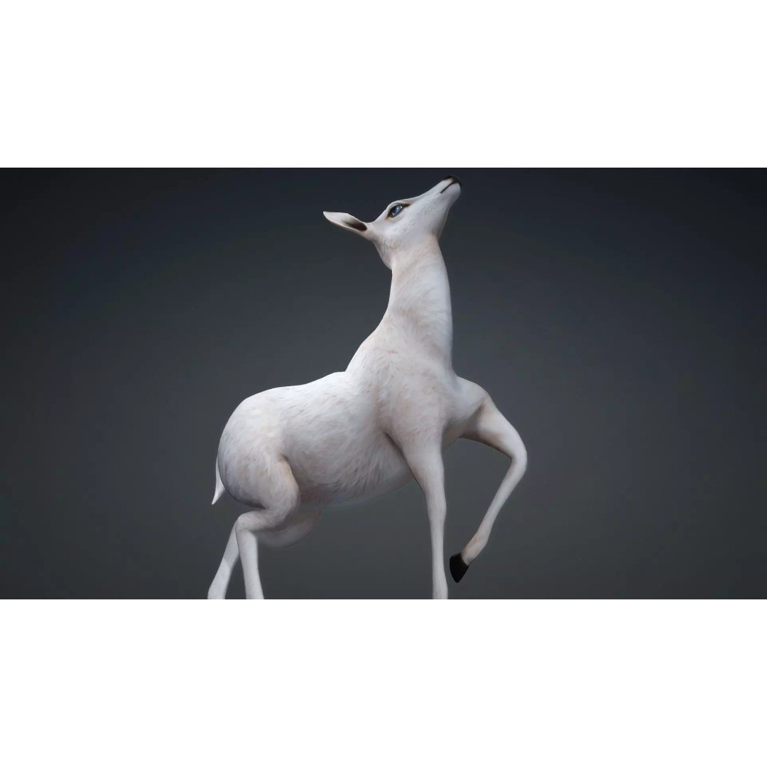 Deer 3D Model – Rigged Creature with PBR Textures, FBX, Blender - View 17
