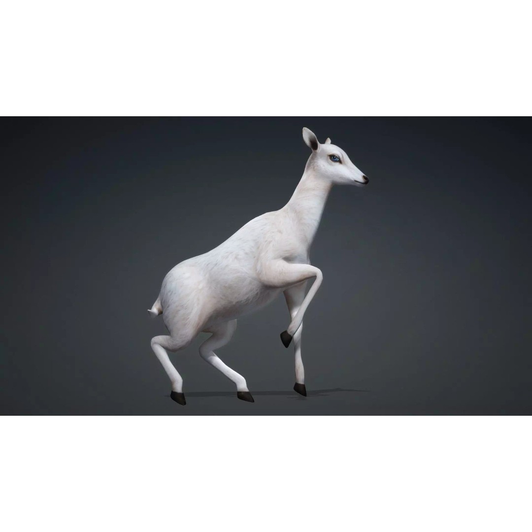 Deer 3D Model – Rigged Creature with PBR Textures, FBX, Blender - View 18