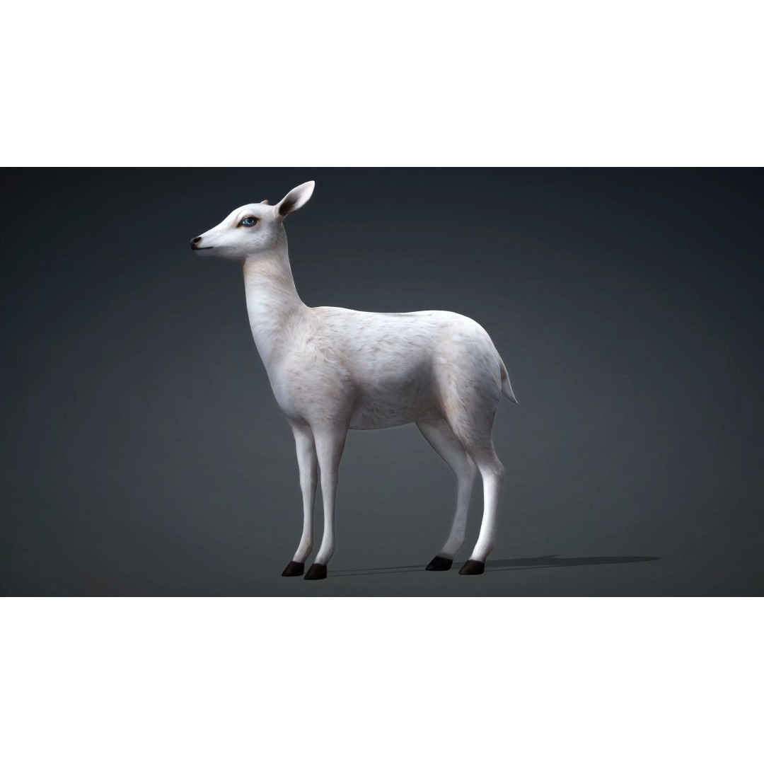 Deer 3D Model – Rigged Creature with PBR Textures, FBX, Blender - View 3