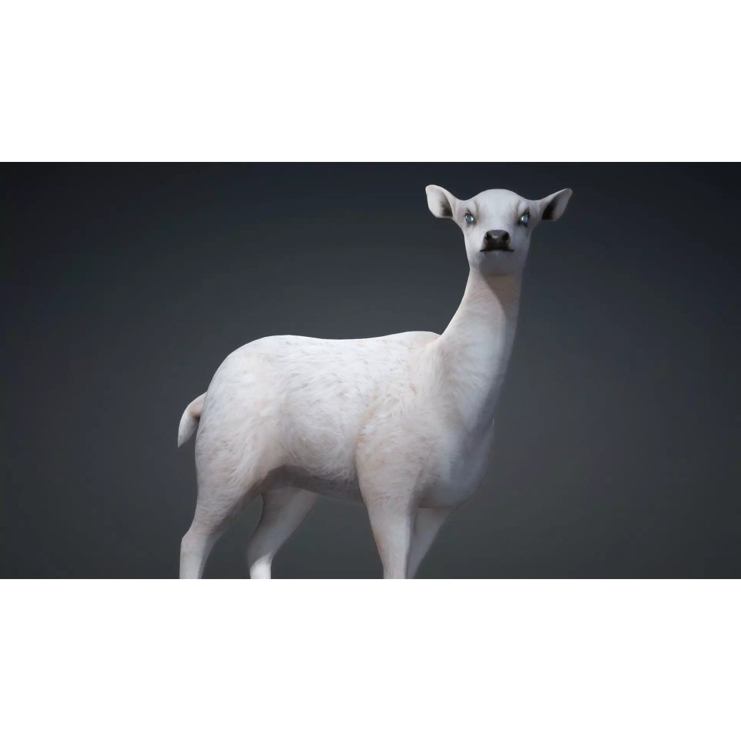 Deer 3D Model – Rigged Creature with PBR Textures, FBX, Blender - View 5
