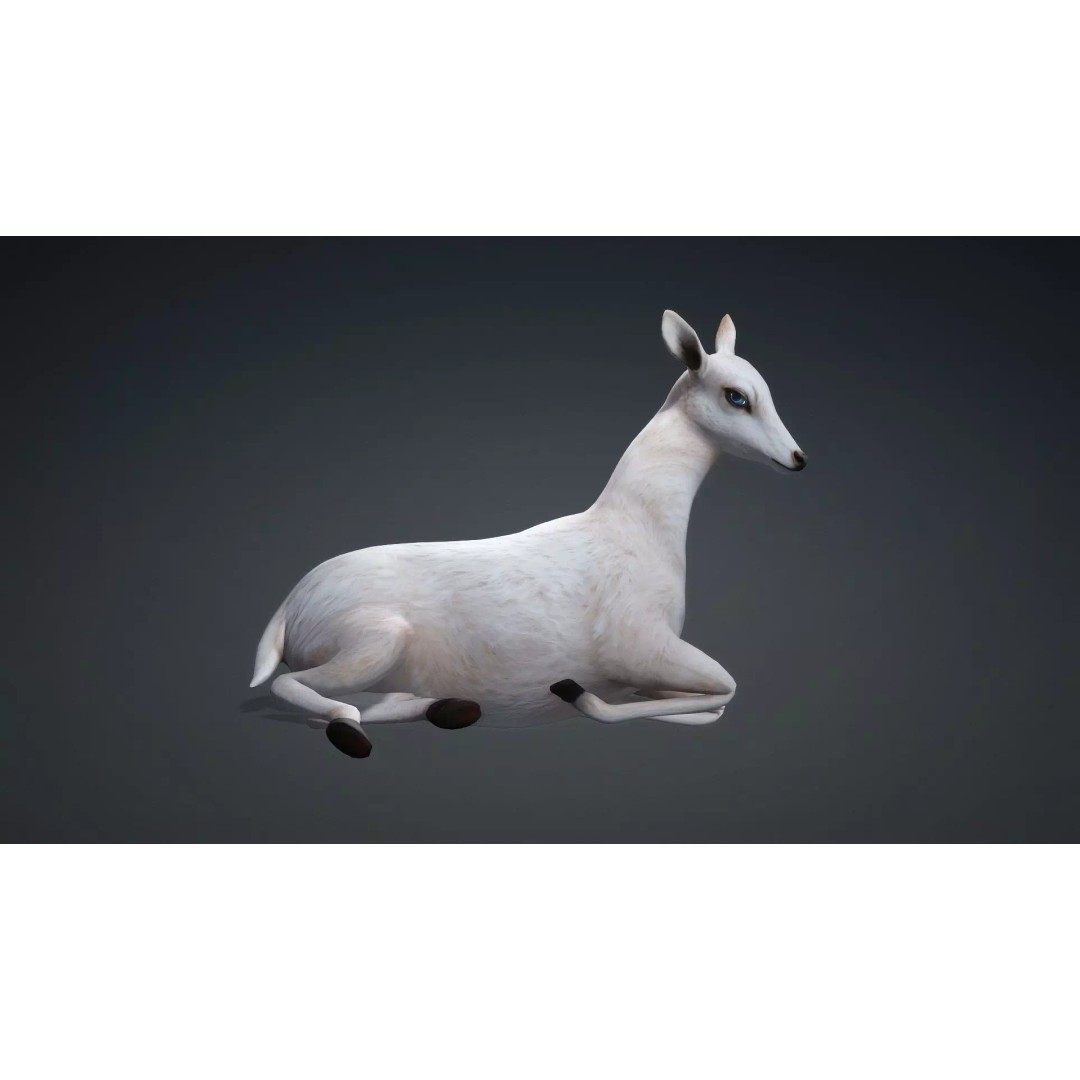 Deer 3D Model – Rigged Creature with PBR Textures, FBX, Blender - View 6