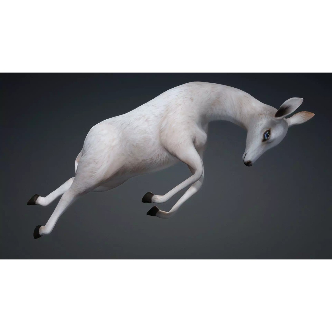 Deer 3D Model – Rigged Creature with PBR Textures, FBX, Blender - View 7