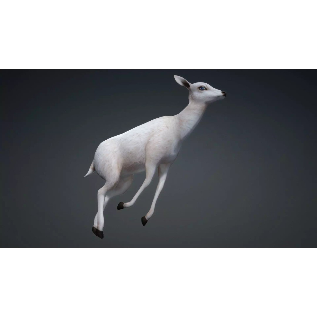 Deer 3D Model – Rigged Creature with PBR Textures, FBX, Blender - View 8