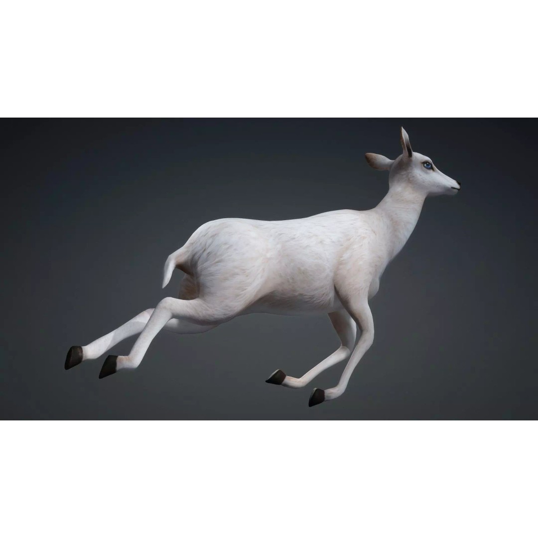 Deer 3D Model – Rigged Creature with PBR Textures, FBX, Blender - View 9